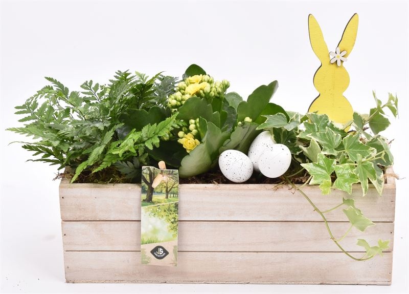 Hout rechthoek 27x9.5 white wash, D 27