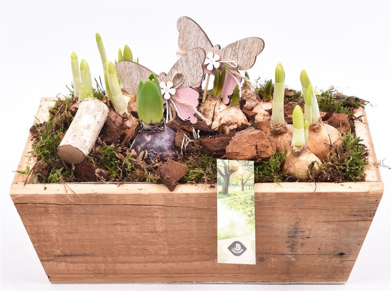 Hout rechthoek 25x20cm, D 30