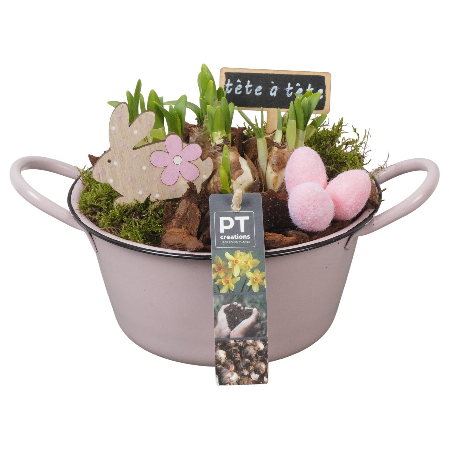 PTNP4429 Arrangement Narcissus Easter in zink schaal, D 19