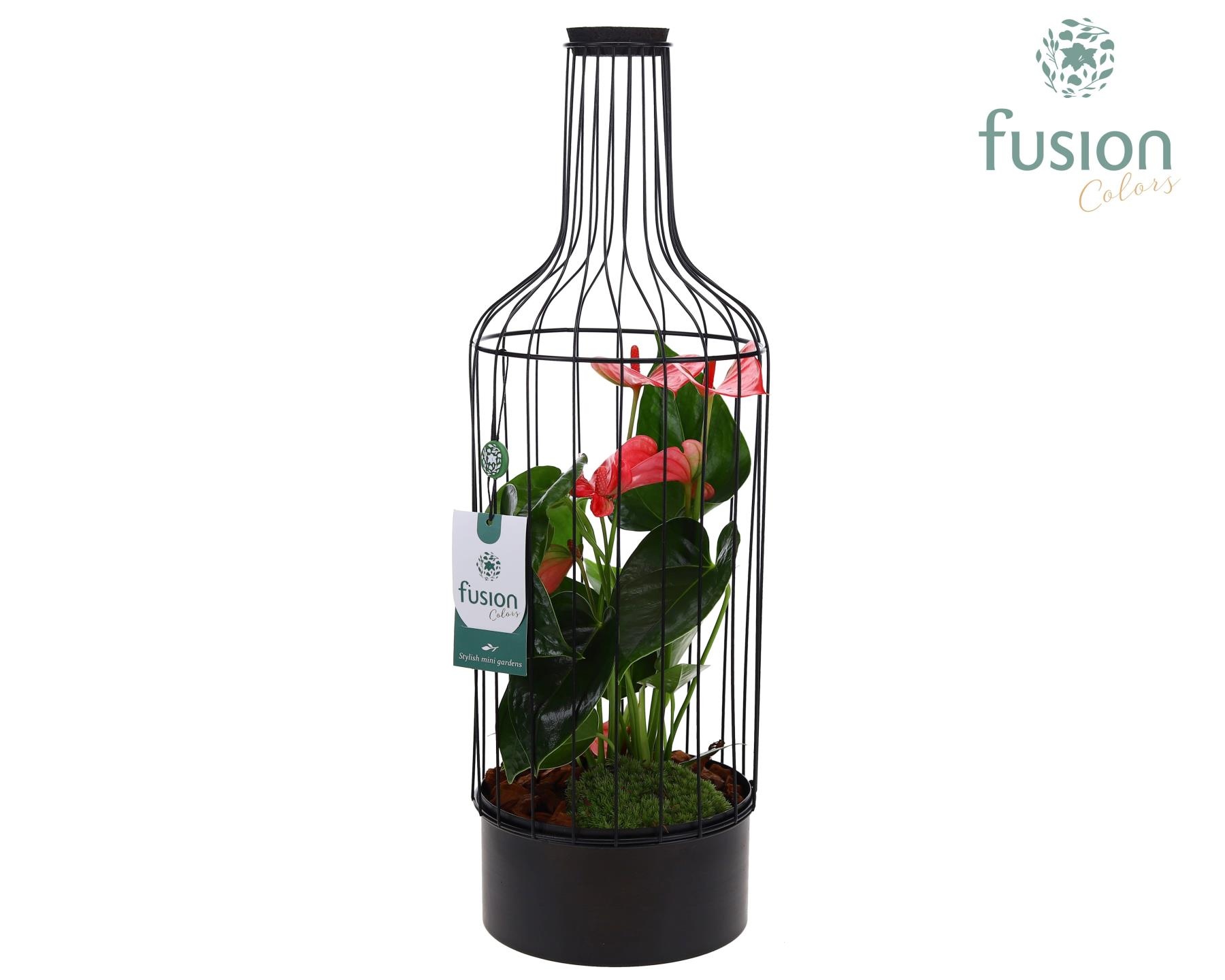 Metaal fles zwart Large met Anthurium, D 17