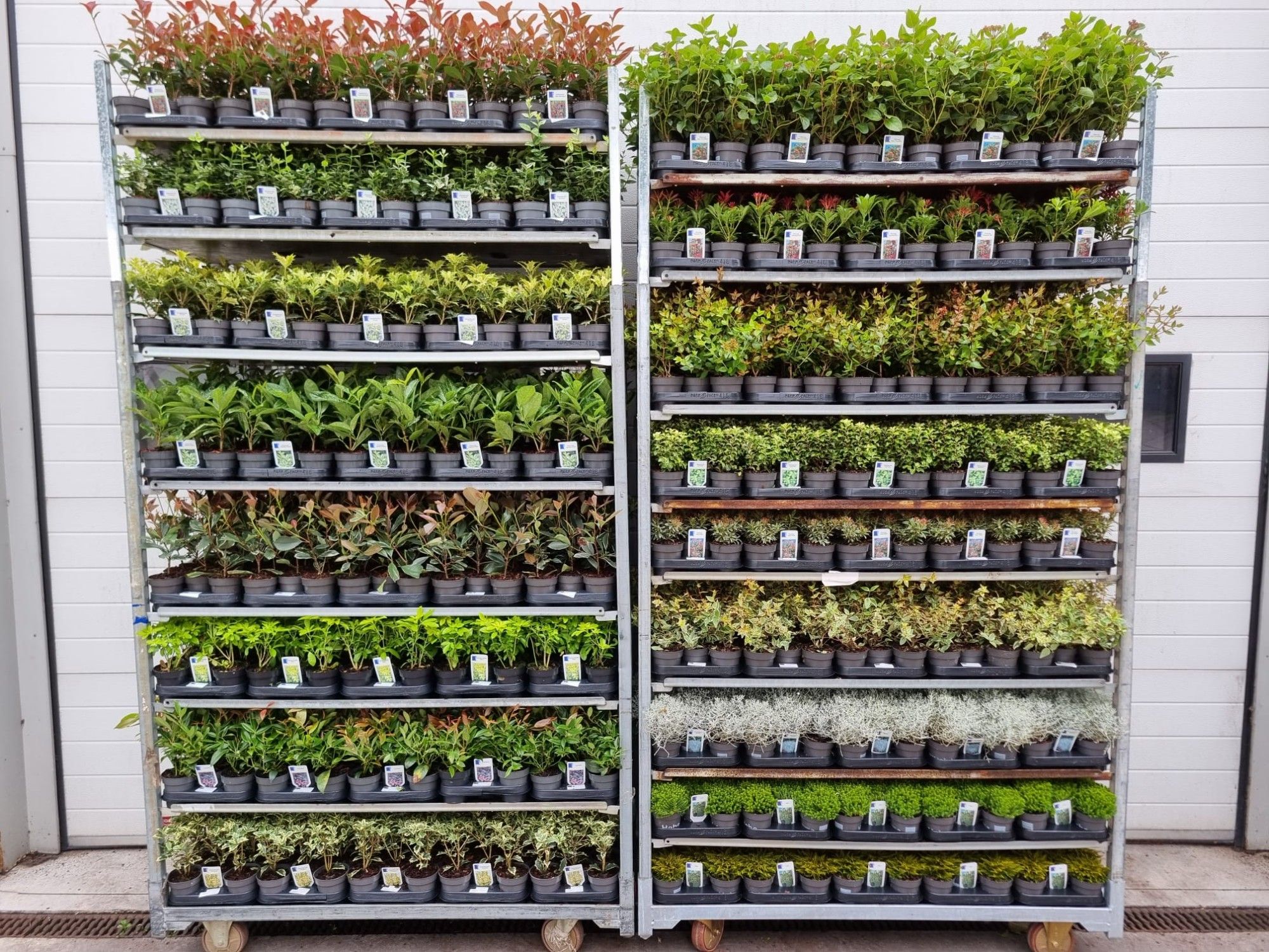 Mix cc-kar levertijd 24 uur !!, D 9