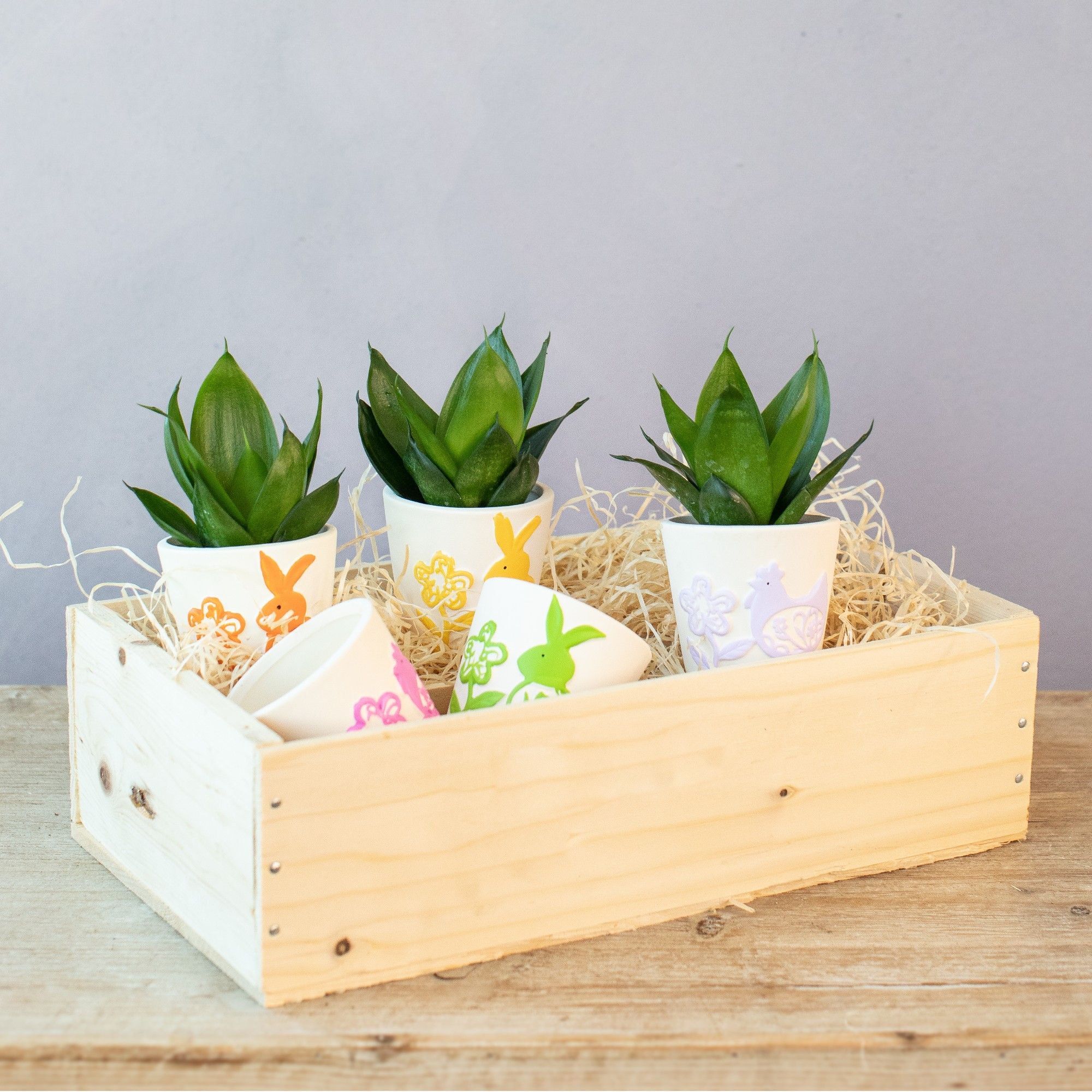 Easter Creations 6 cm, D 6