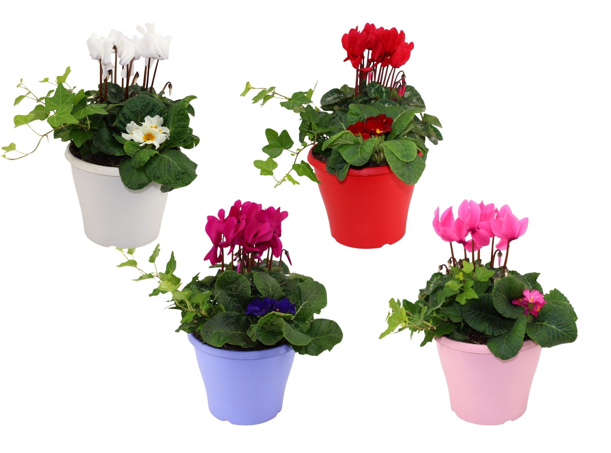 Hello Winter Trio in Patrio 19 cm 'Snow', D 19