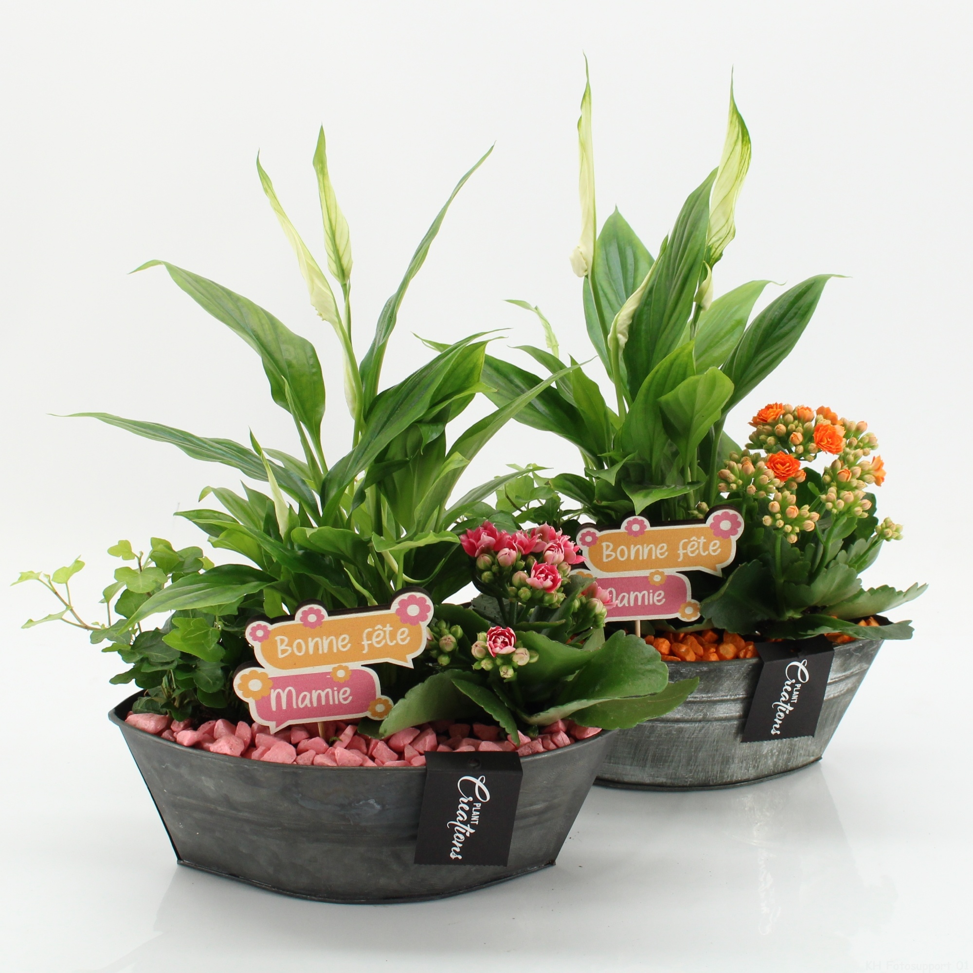 FGCR-2626 Fête des grands-mères, D 22