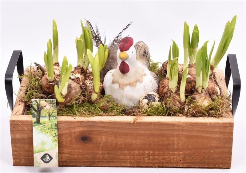 Hout dienblad metal greep 30x15cm, D 27