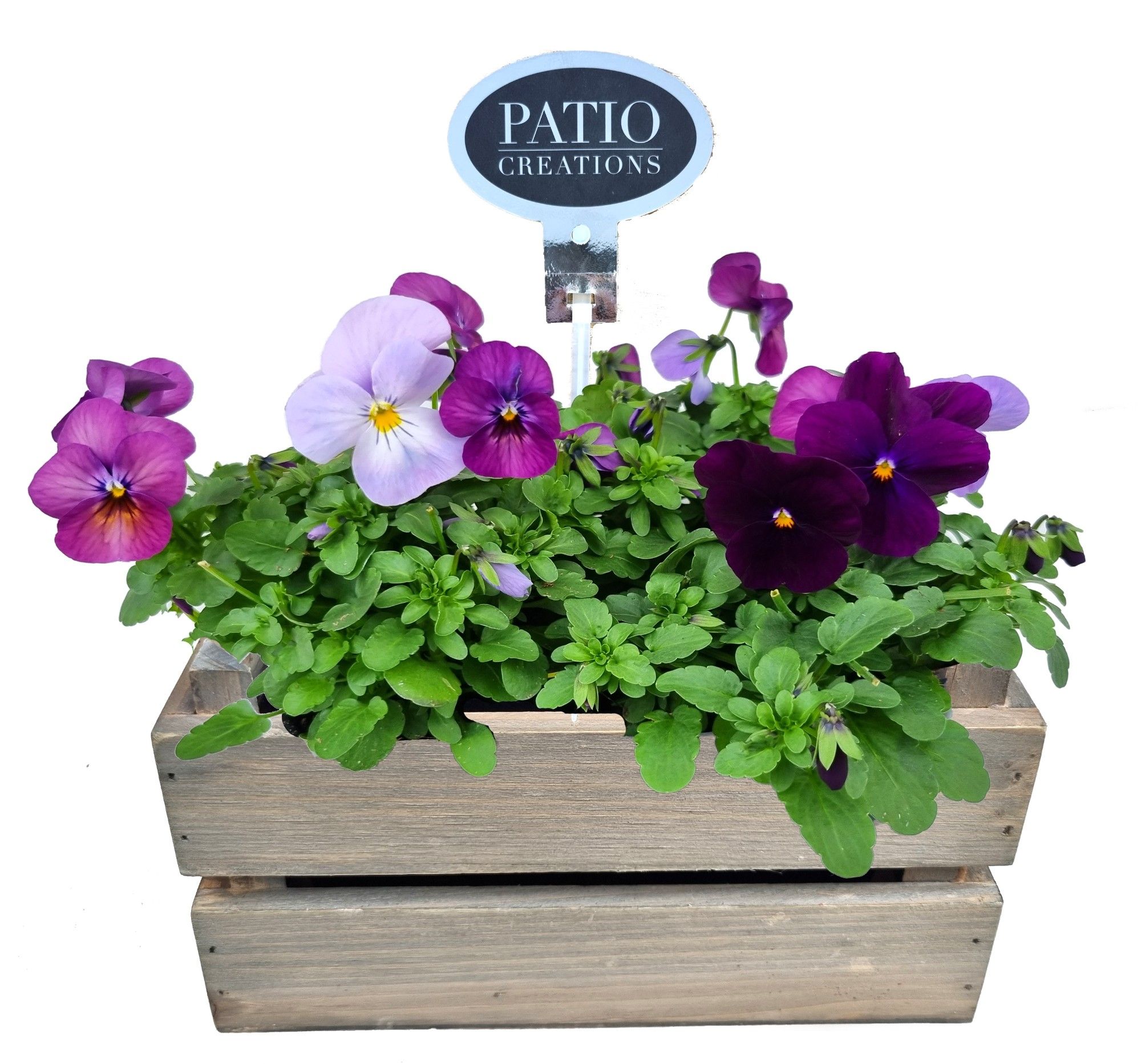 V790-9001 Viola houten kistje S, D 20