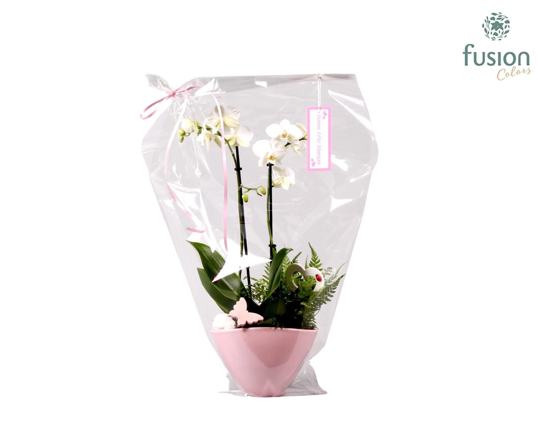 Keramiek Love Phalaenopsis, D 18