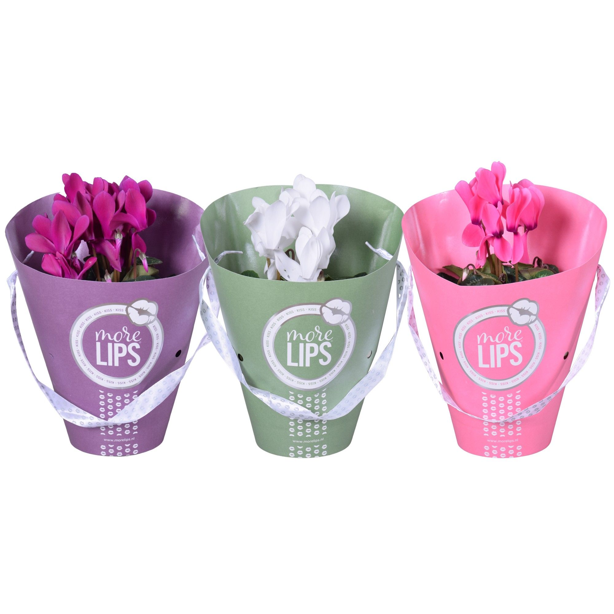 MoreLIPS® Cycl midi in koker mixLAAG, D 12