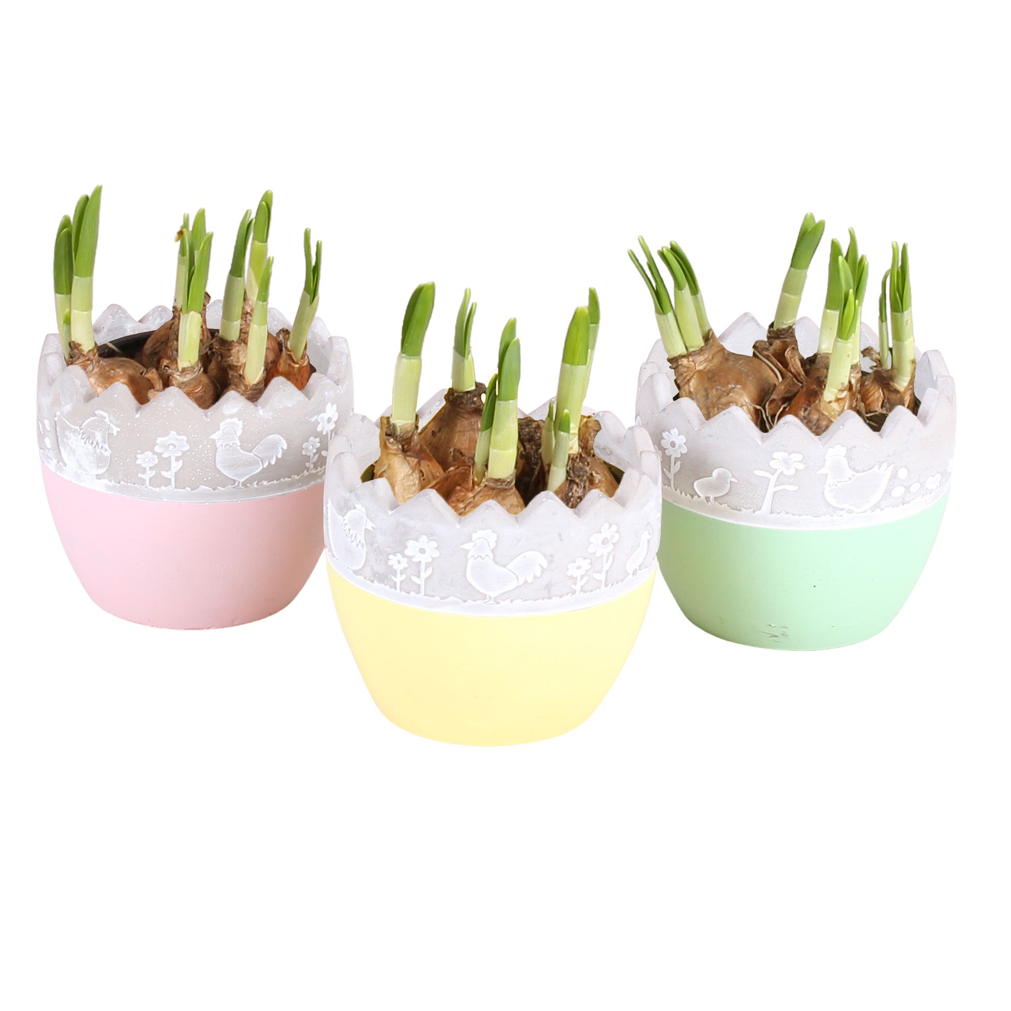 Easter Arr. Indoor Ceramic Twotone Egg Ø11cm 1PP, D 11