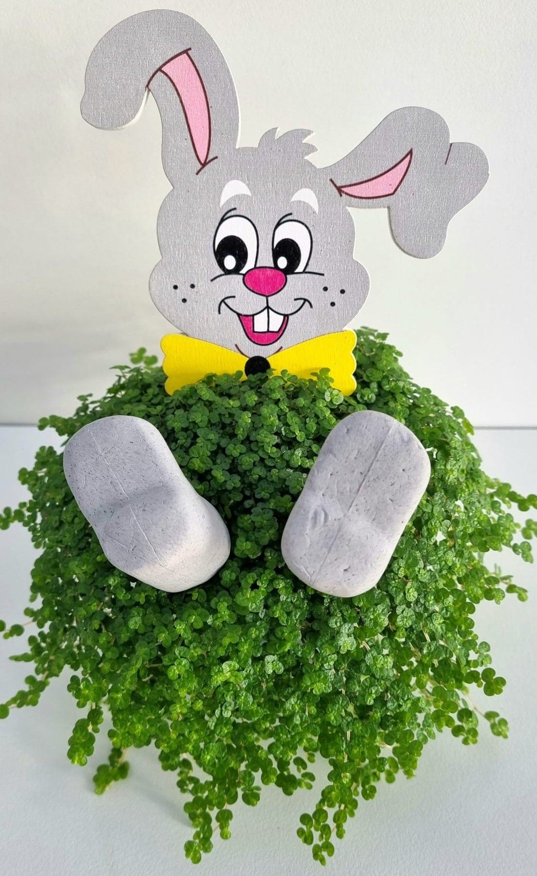 P30 paashaas grijs, D 11