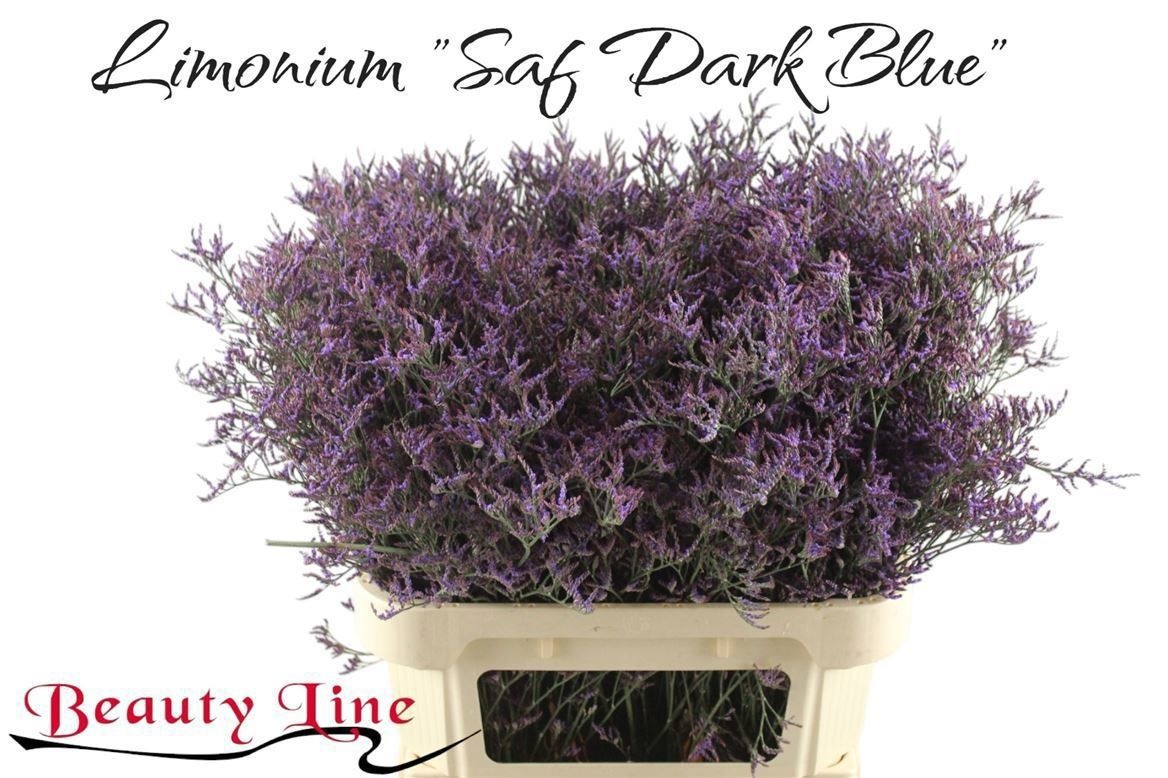 Лимониум Сафора Дарк Блю 80, шт.