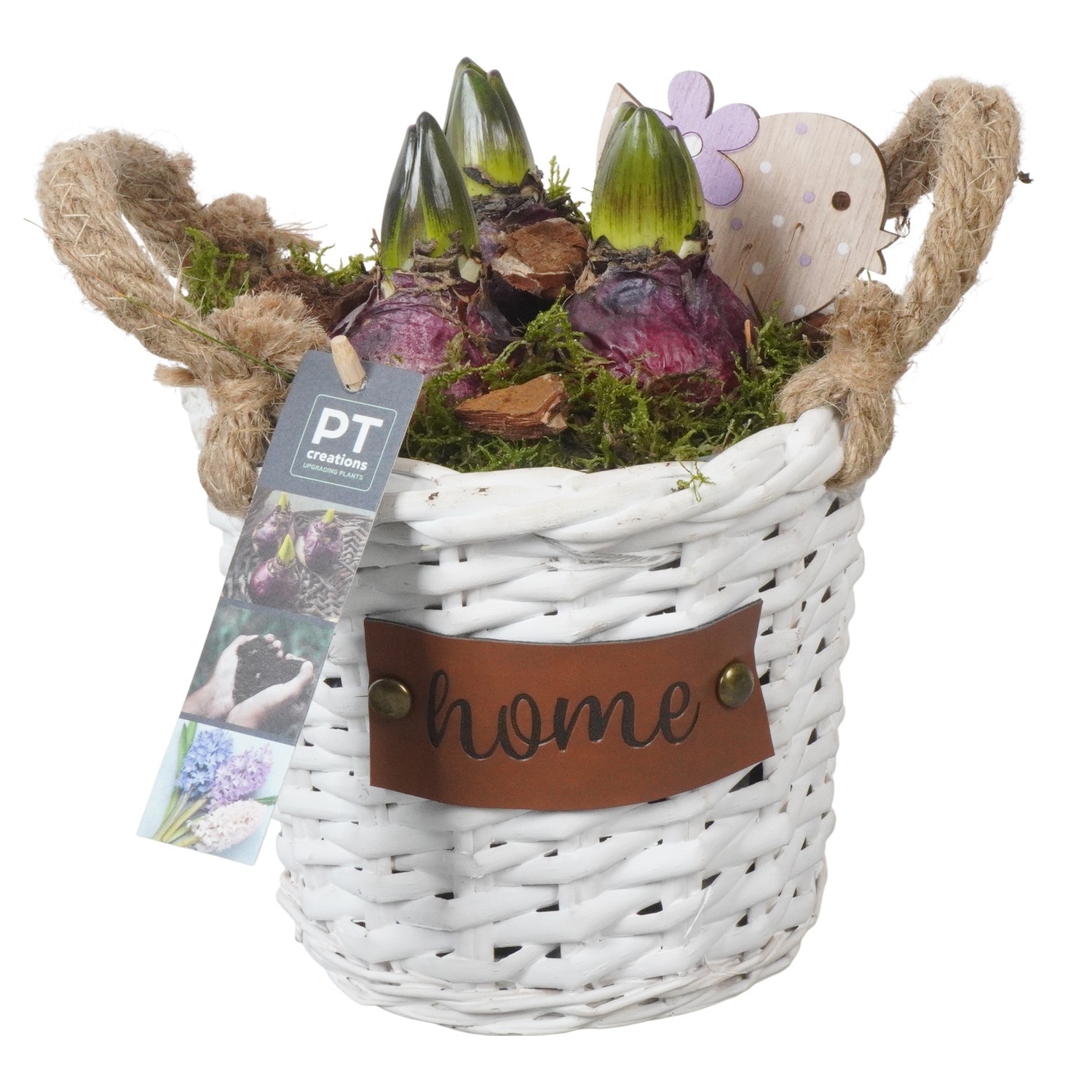 PTHC9168 Arrangement Hyacints in riet mand, D 16