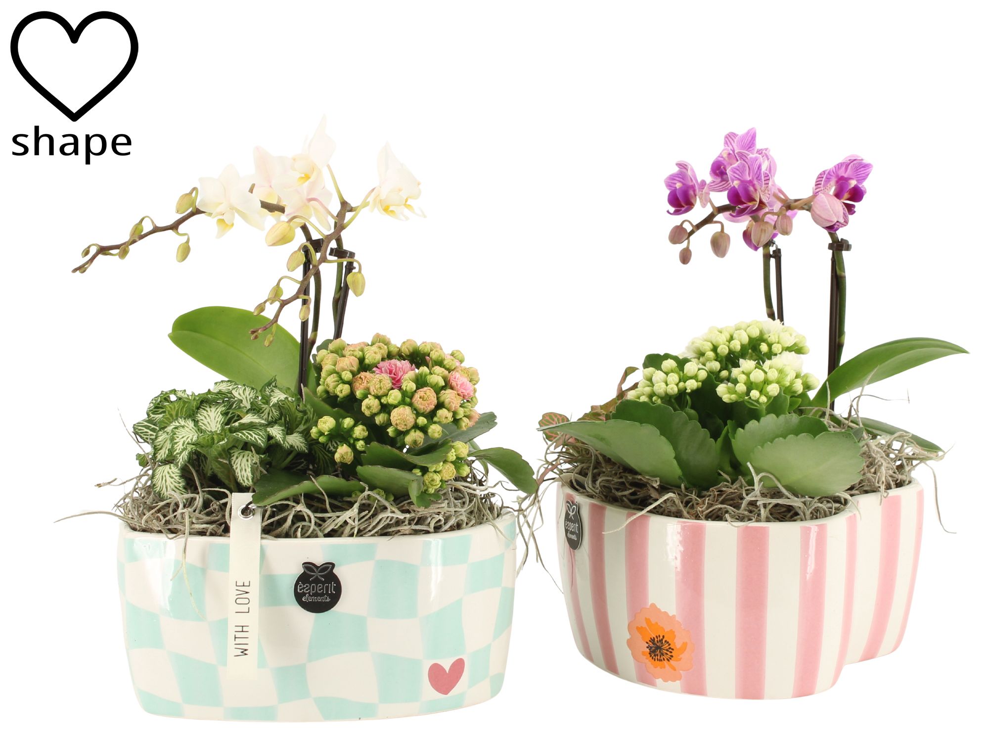 21861: Lovess arrangement, D 17