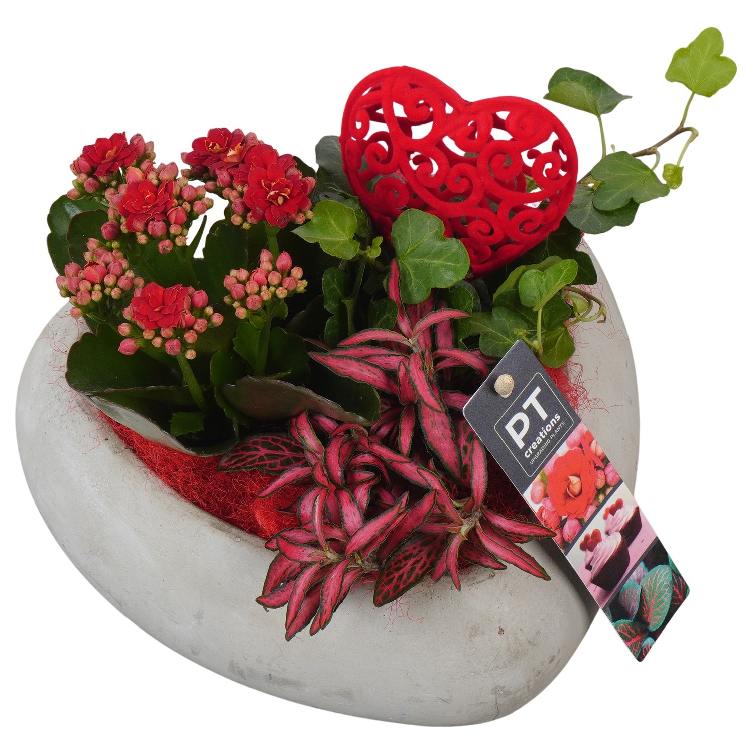 PTVMB2279 Arrangement Valentines-Mothersday in beton hart, D 20