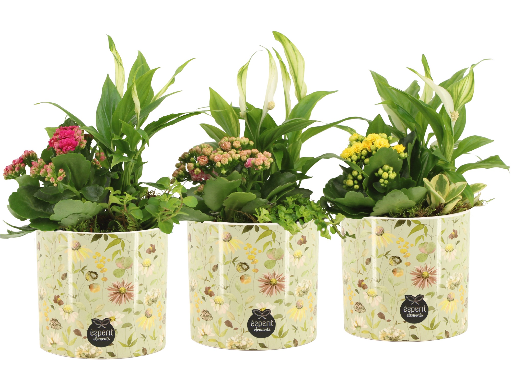 11692: Consideration arrangement, D 14