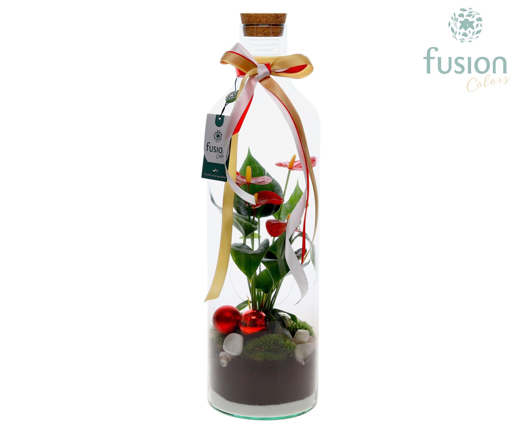 Green Bottle Fles Large Kerst met Anthurium, D 15