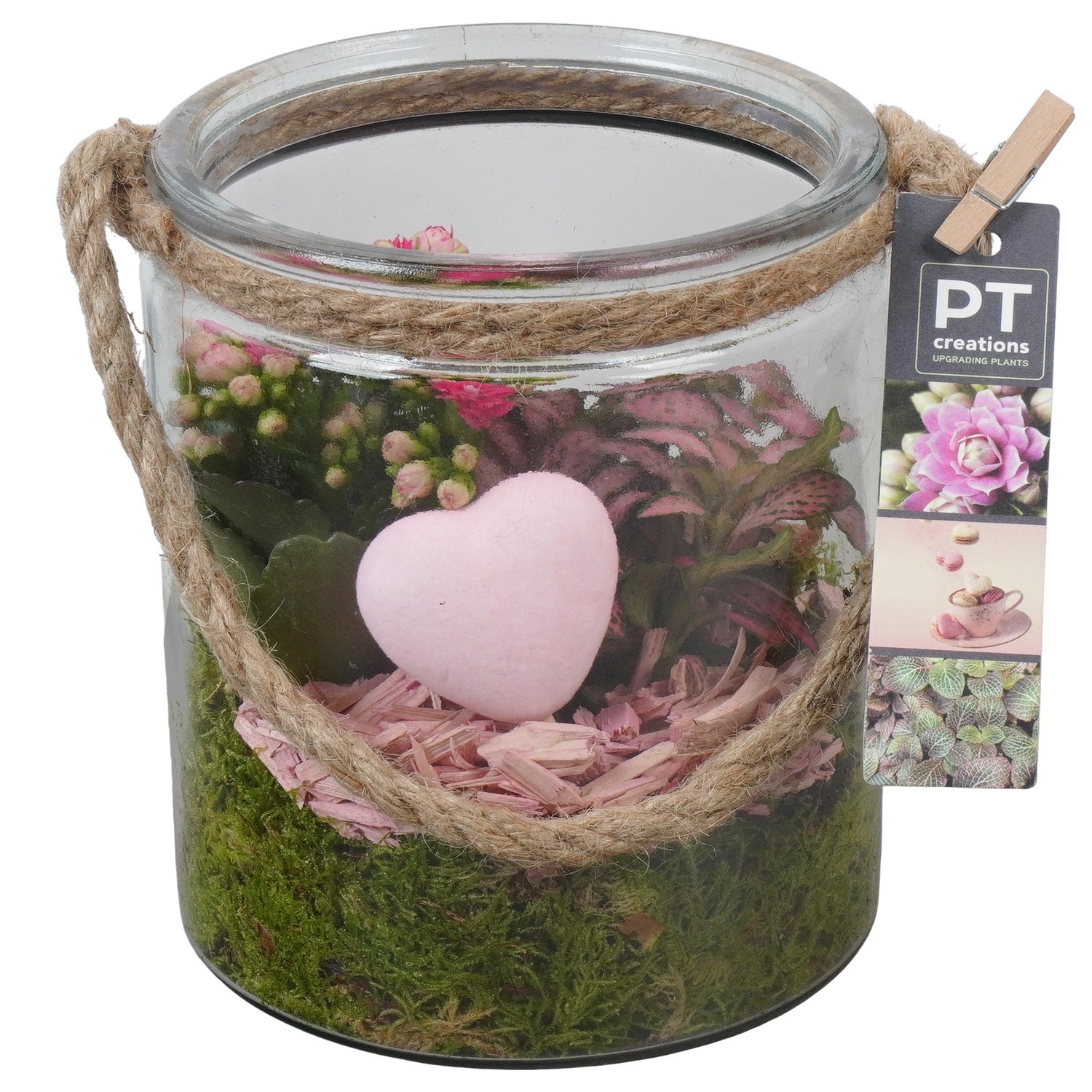 PTVMG4911 Arrangement Valentines-Mothersday in glas vaas, D 14