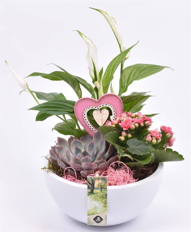 Keramiek schaal wit 20cm, D 20