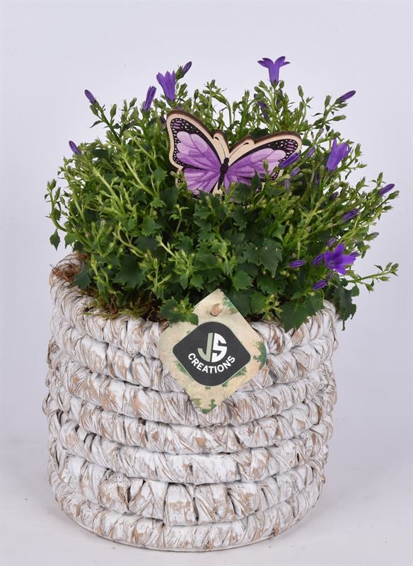 Mais mand 15.5 cm white wash, D 16