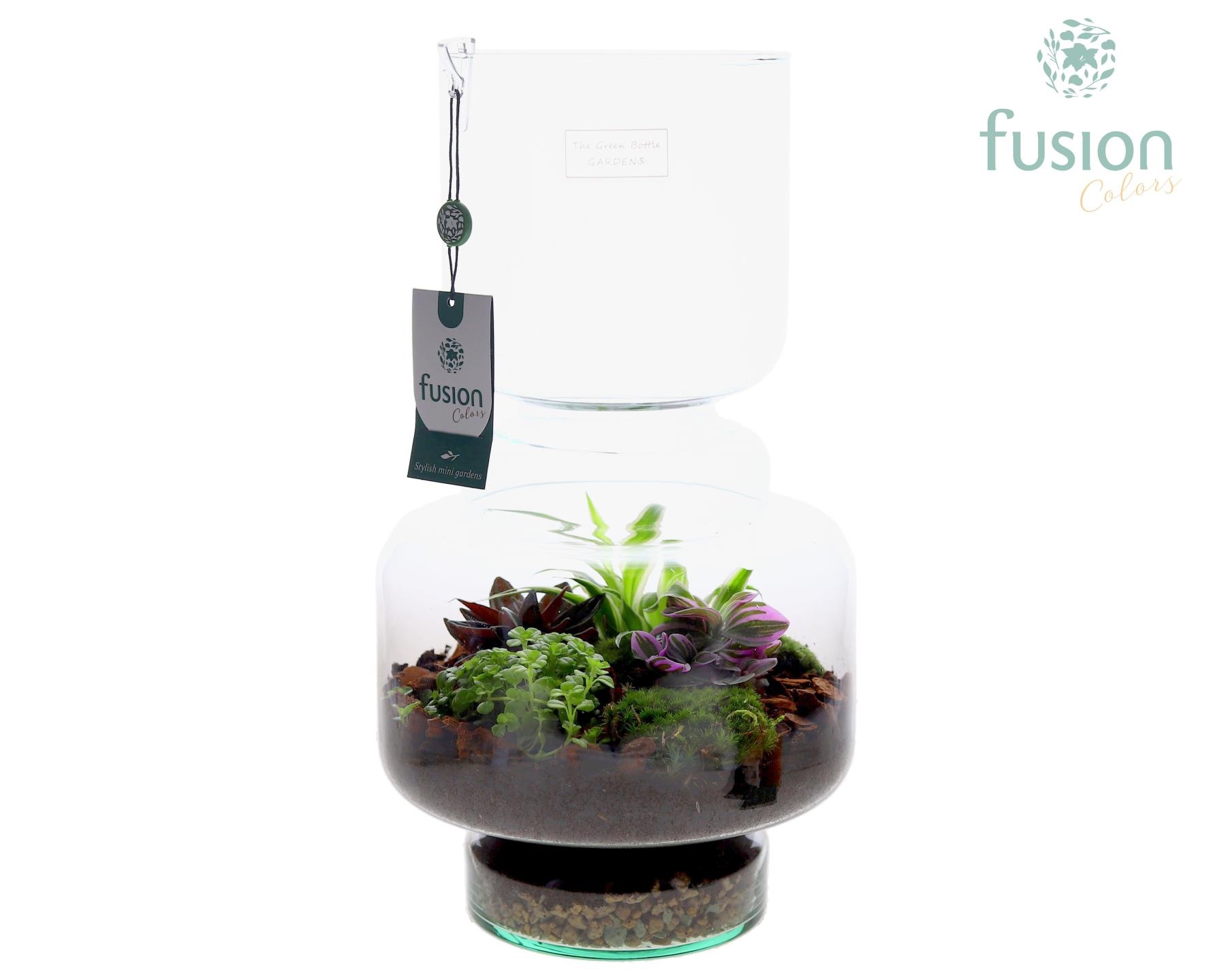 Green Bottle Lotte Large met arrangement, D 22