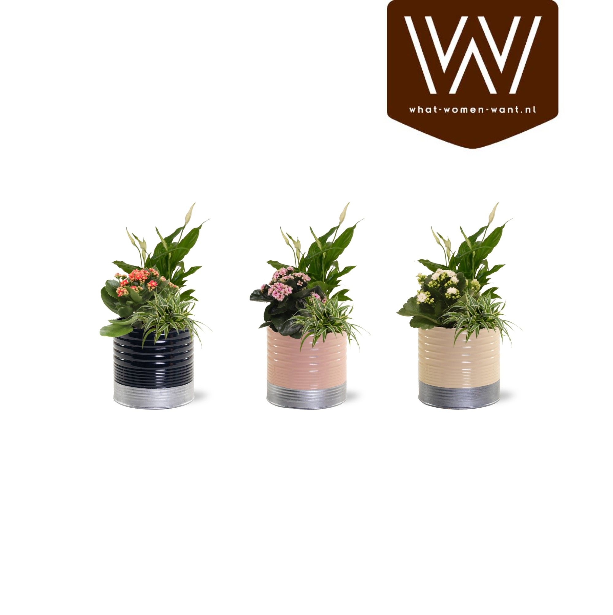 Collectie "Bubbles & wine" - Arrangement in Zink Nola, D 12