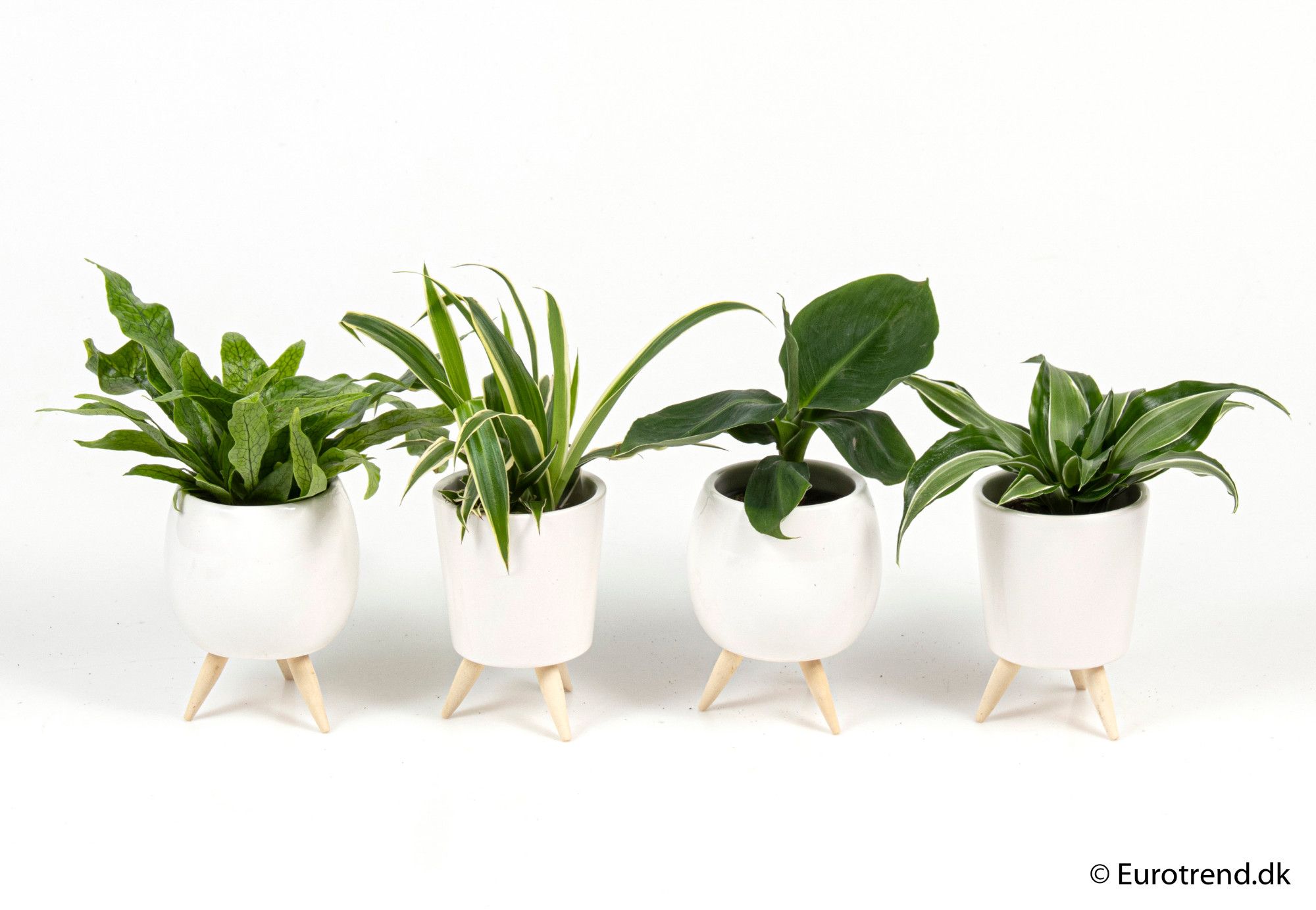 Green mix in ceramic with leg - New Look 2025, D 6