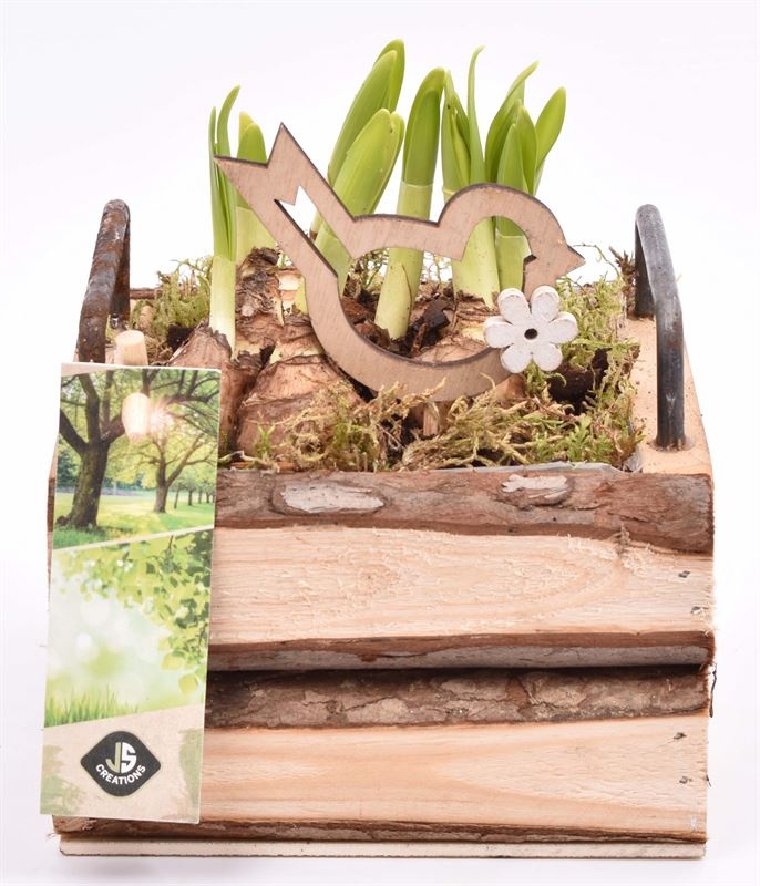 Hout vierk. met handvat 12,5x12,5cm, D 13