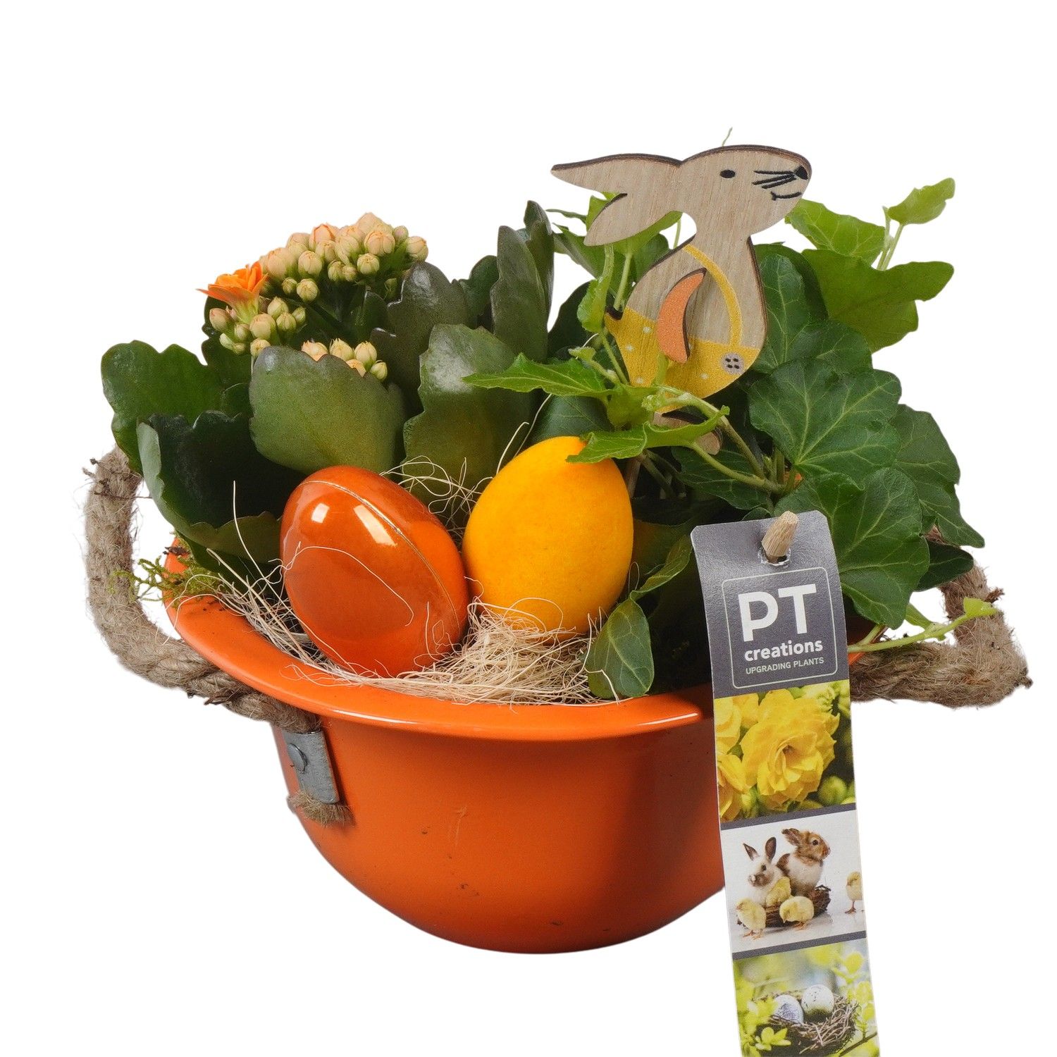 PTPB6404 Arrangement Easter in zink schaal, D 16