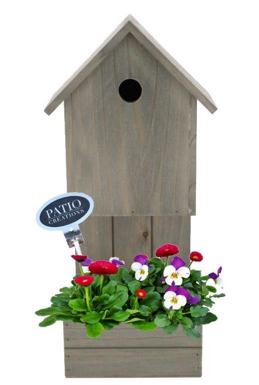 VB814-9001 Viola/Bellis plantenbak vogelhuis, D 18