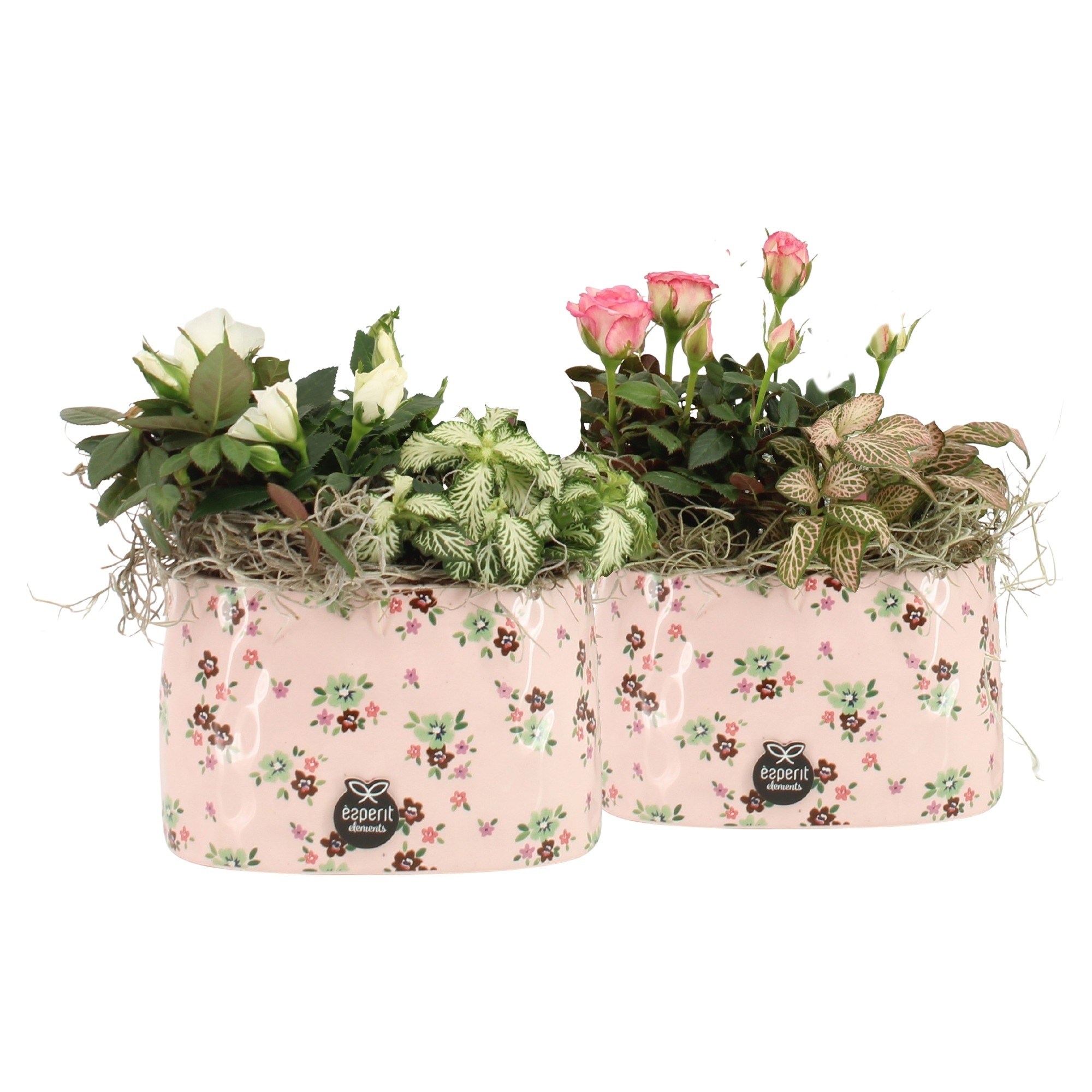 21641: Lovess arrangement, D 14