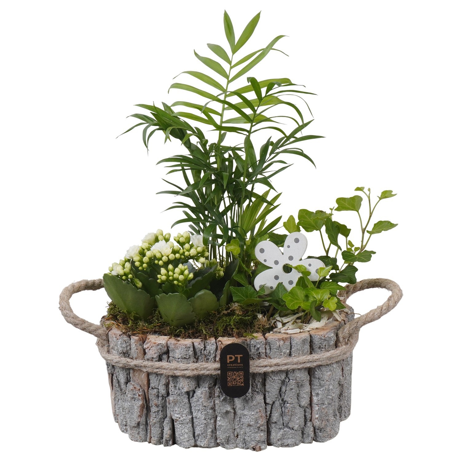 PTIB5258 Arrangement Indoor in houten bak, D 23