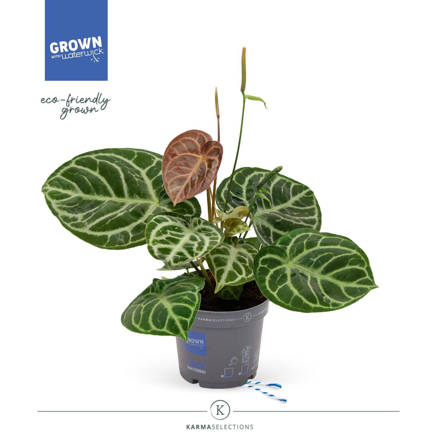 Mimesis Crystallium KARMA Crystal Hybride Compact - 17cm, D 17