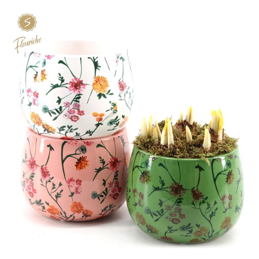 (3601) Narcissus Early Springtime [L] 3PP Mos, D 15