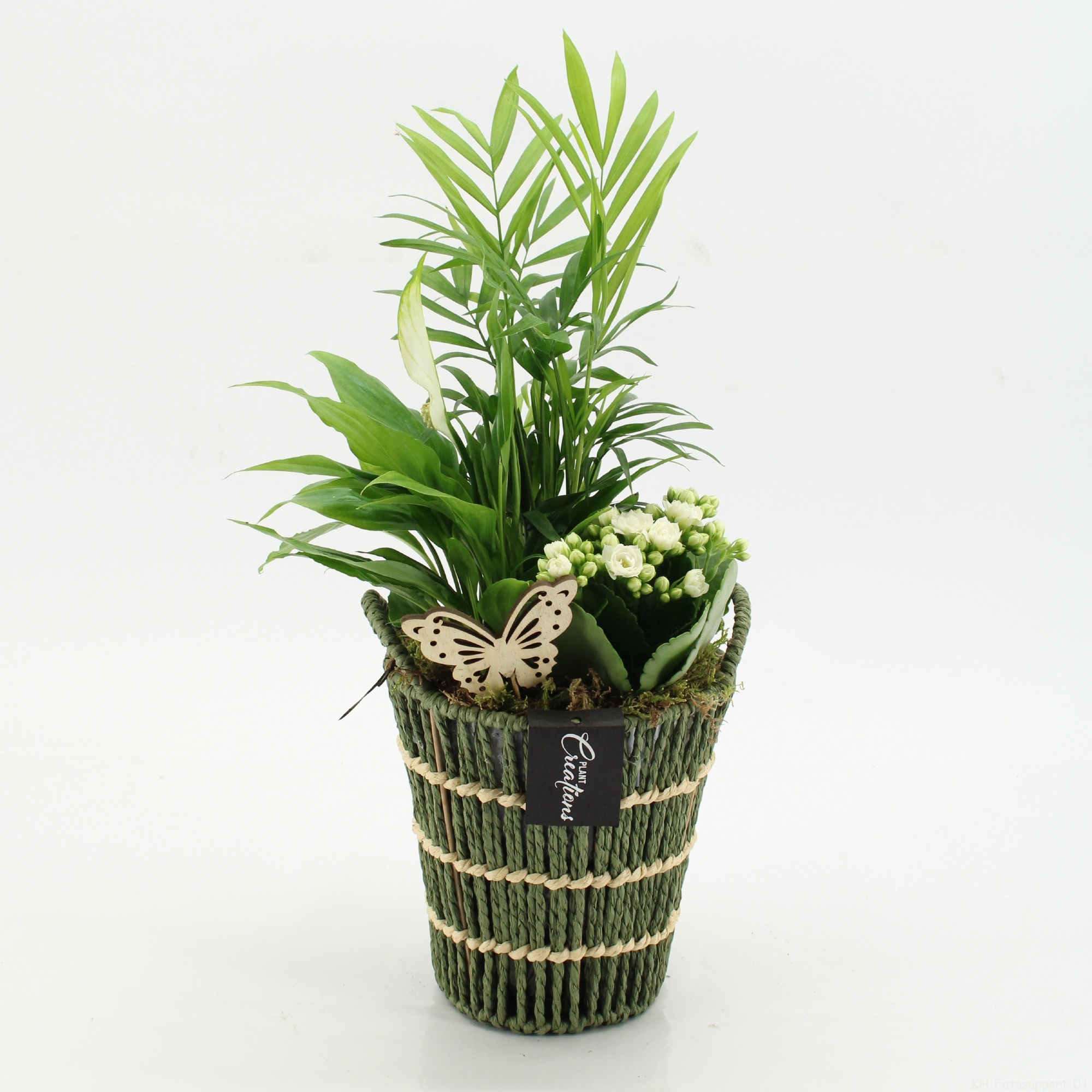 ESCR-2617W Essentials, D 16