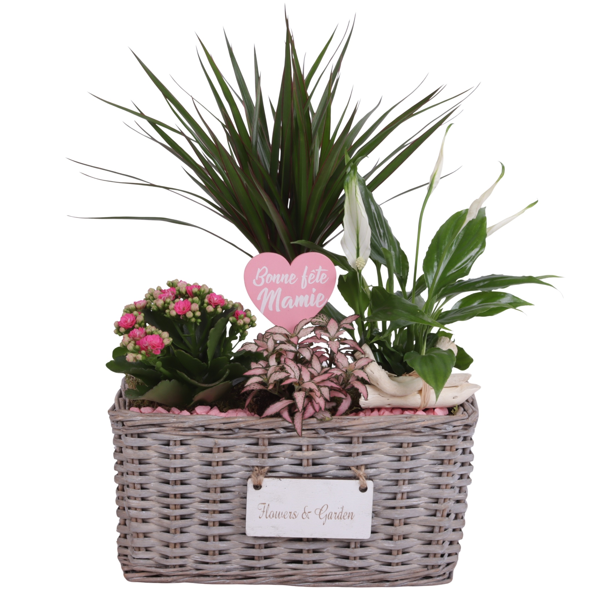 Grandmothers Day Arr. Indoor Willow Basket Flowersign Ø30cm 4PP, D 30