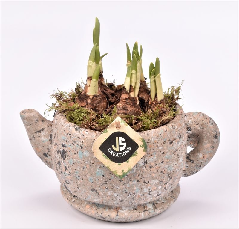 Cement theepot 22cm, D 22