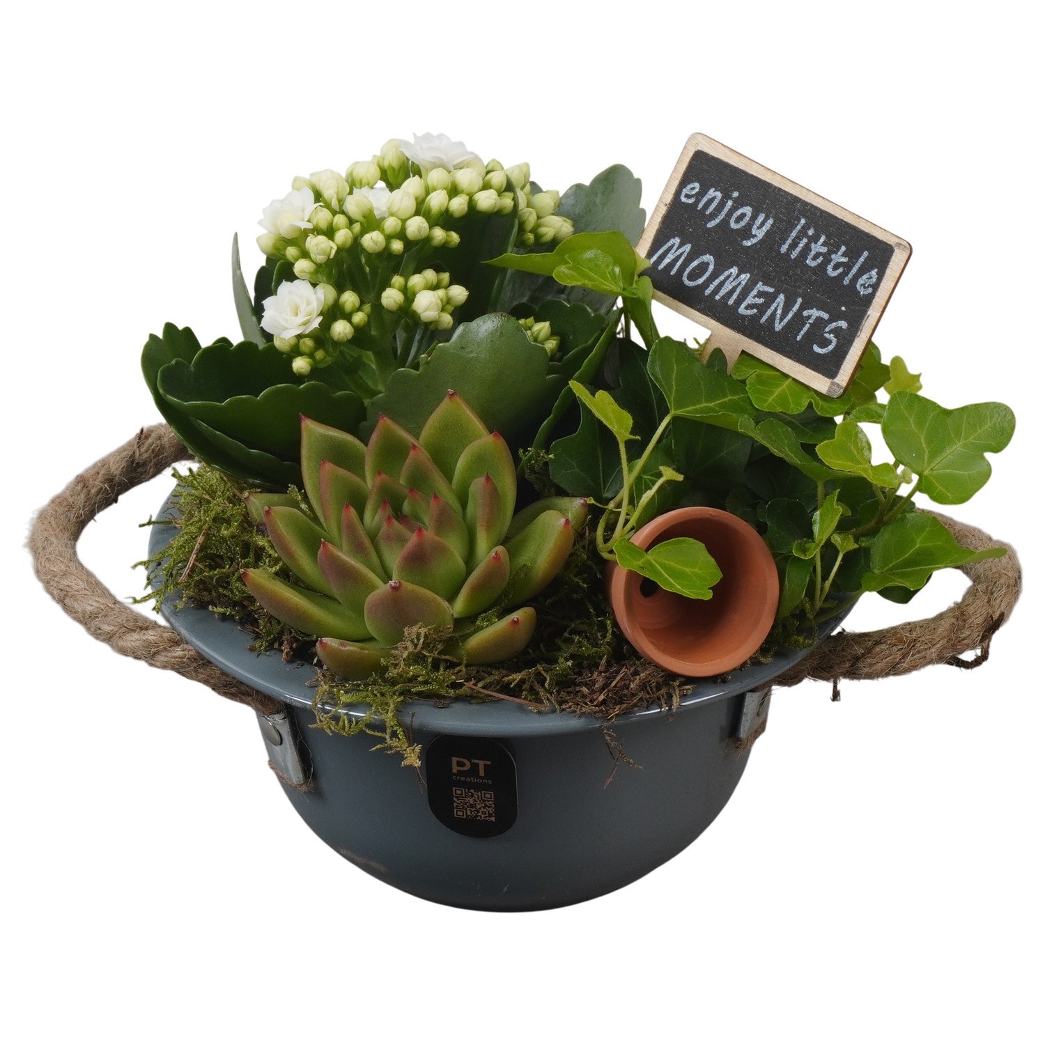 PTIB5317 Arrangement Indoor in metalen schaal, D 16