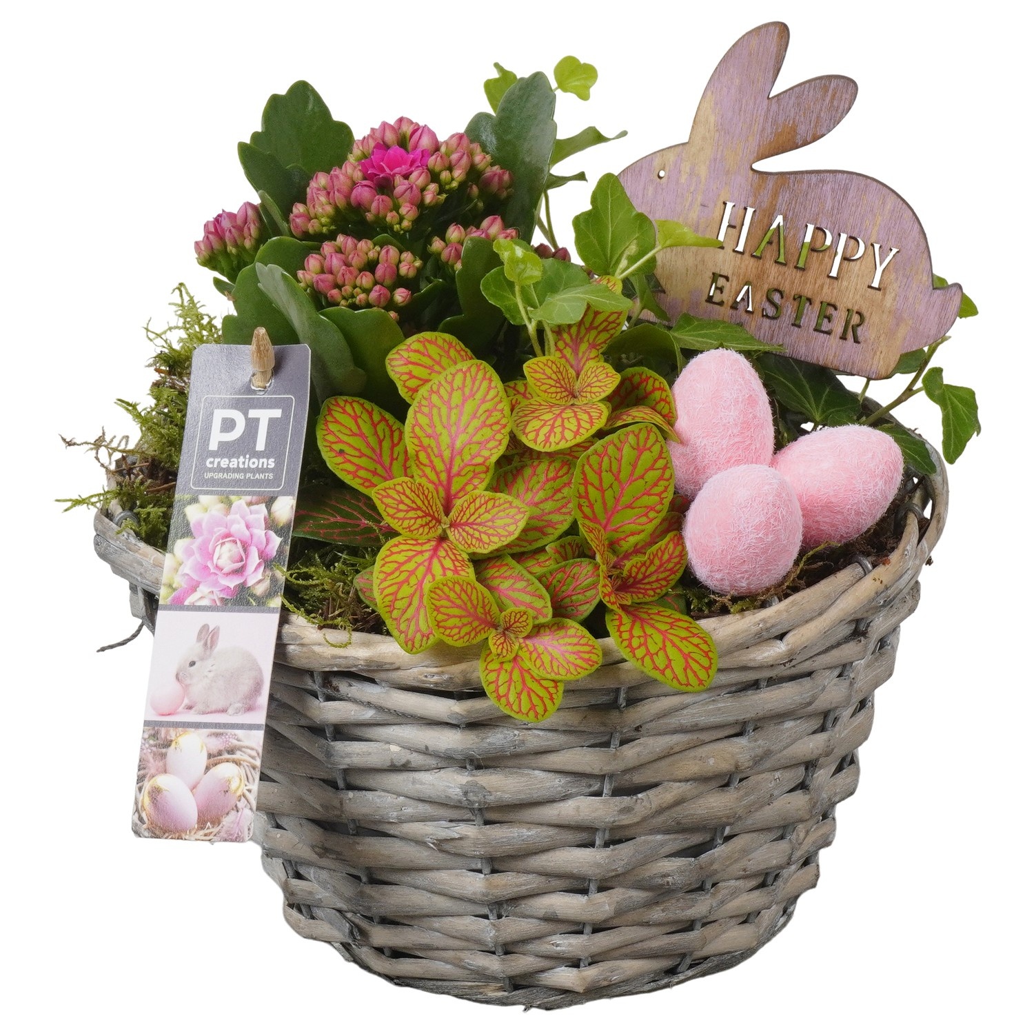 PTPB6563 Arrangement Easter in rieten mand, D 18