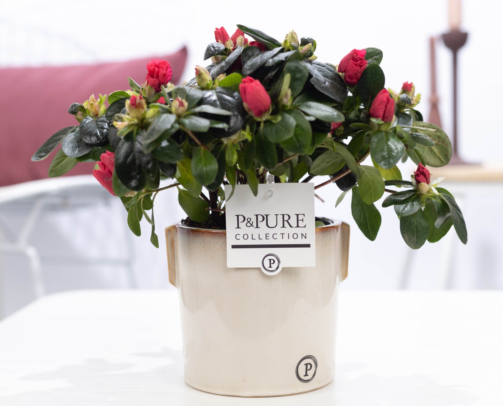 Azalea P&PURE Collection Lauren keramiek rood, D 12