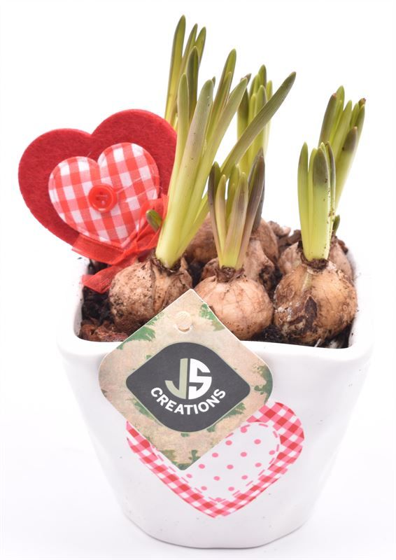 Keramiek schaal met hart 16cm, D 10