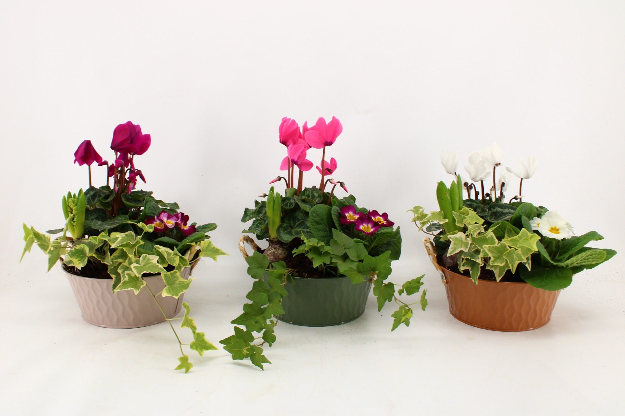 Arrangement 'Snow' in zinken schaal Nora, D 21