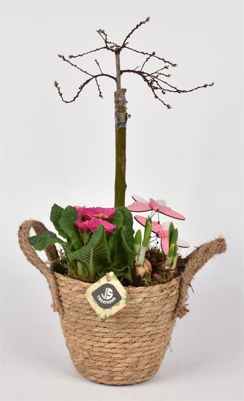 Touwmand met oren Dia 18, D 18