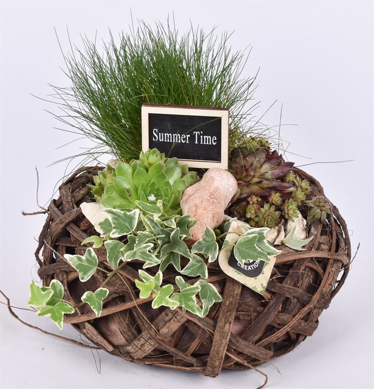 Natuur krans br. 26cm, D 26