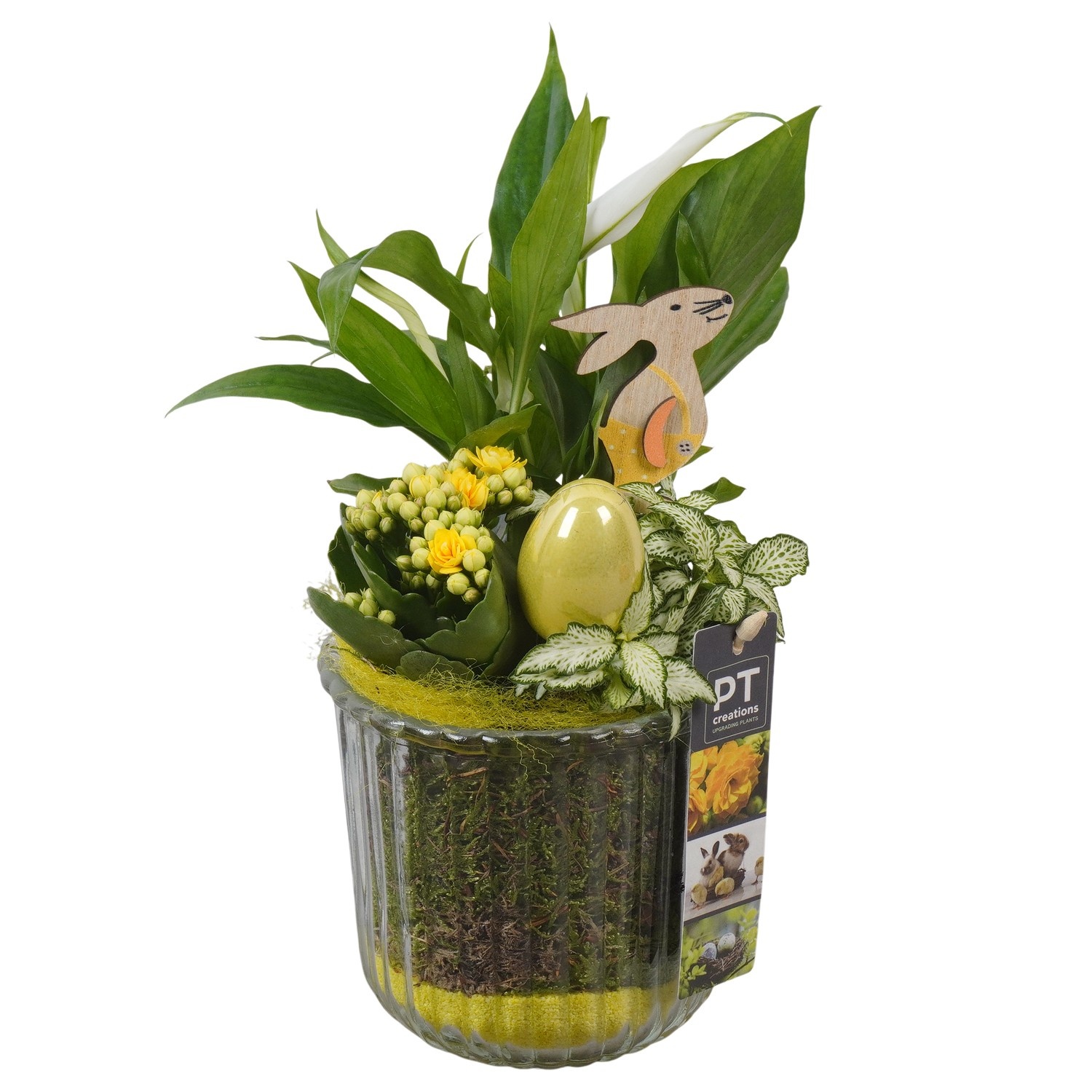 PTPG9389 Arrangement Easter in glas vaas, D 12