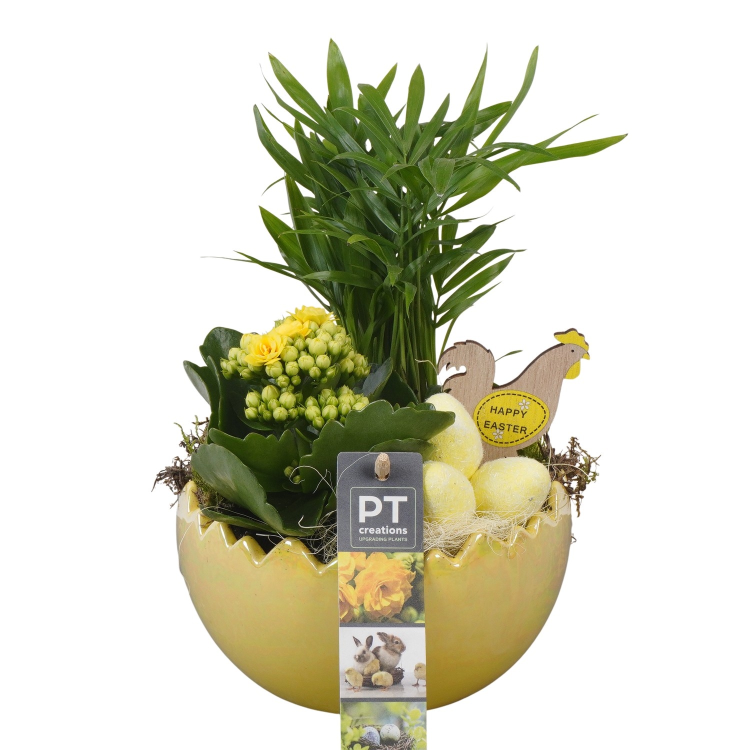 PTPB6483 Arrangement Easter in keramiek ei, D 15