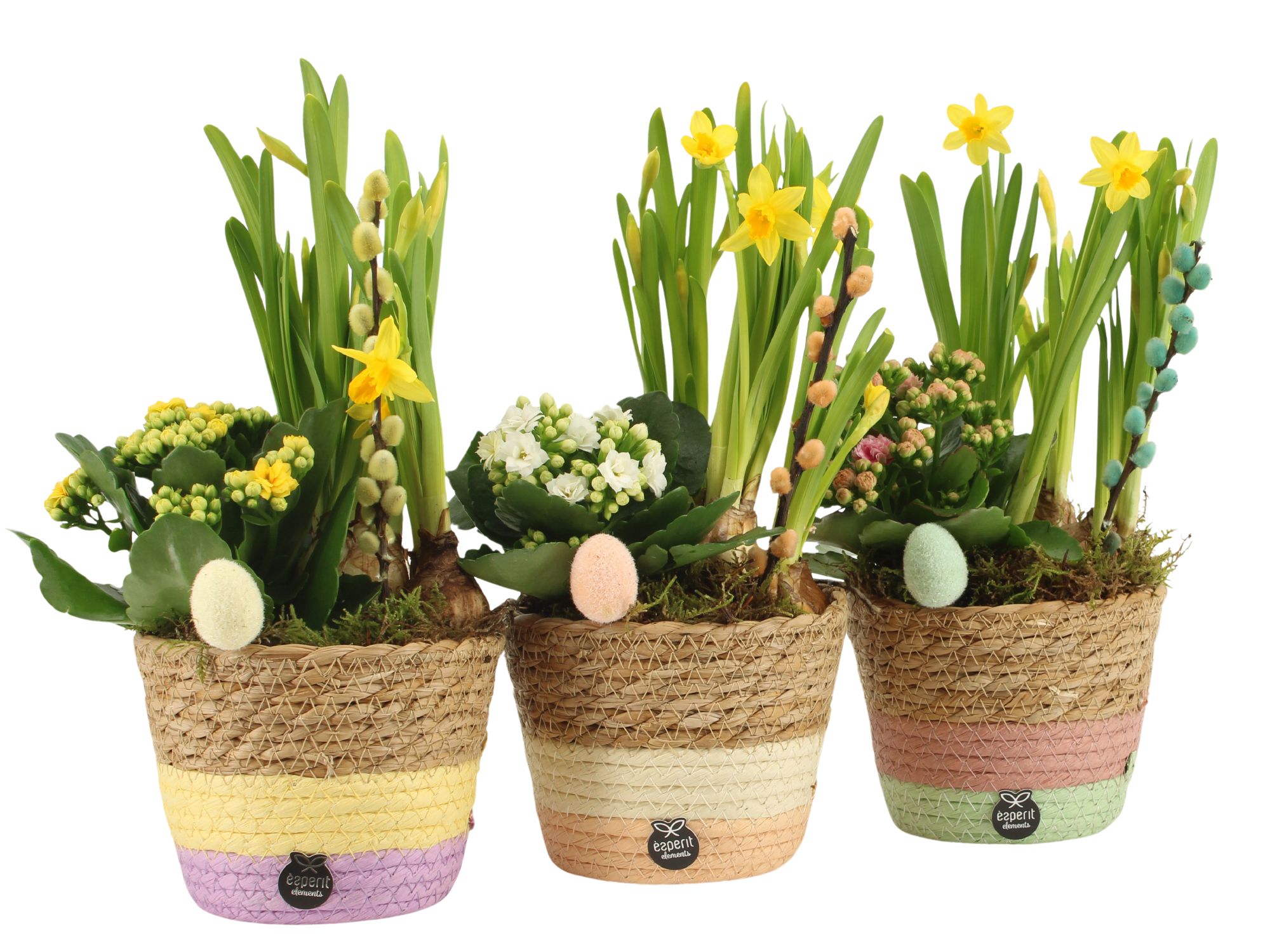 70762: Easter arrangement, D 14