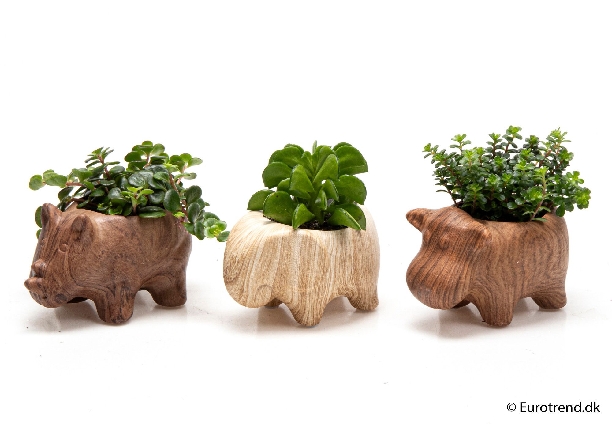 Green mix in animal treelook ceramic - New Look 2025, D 6