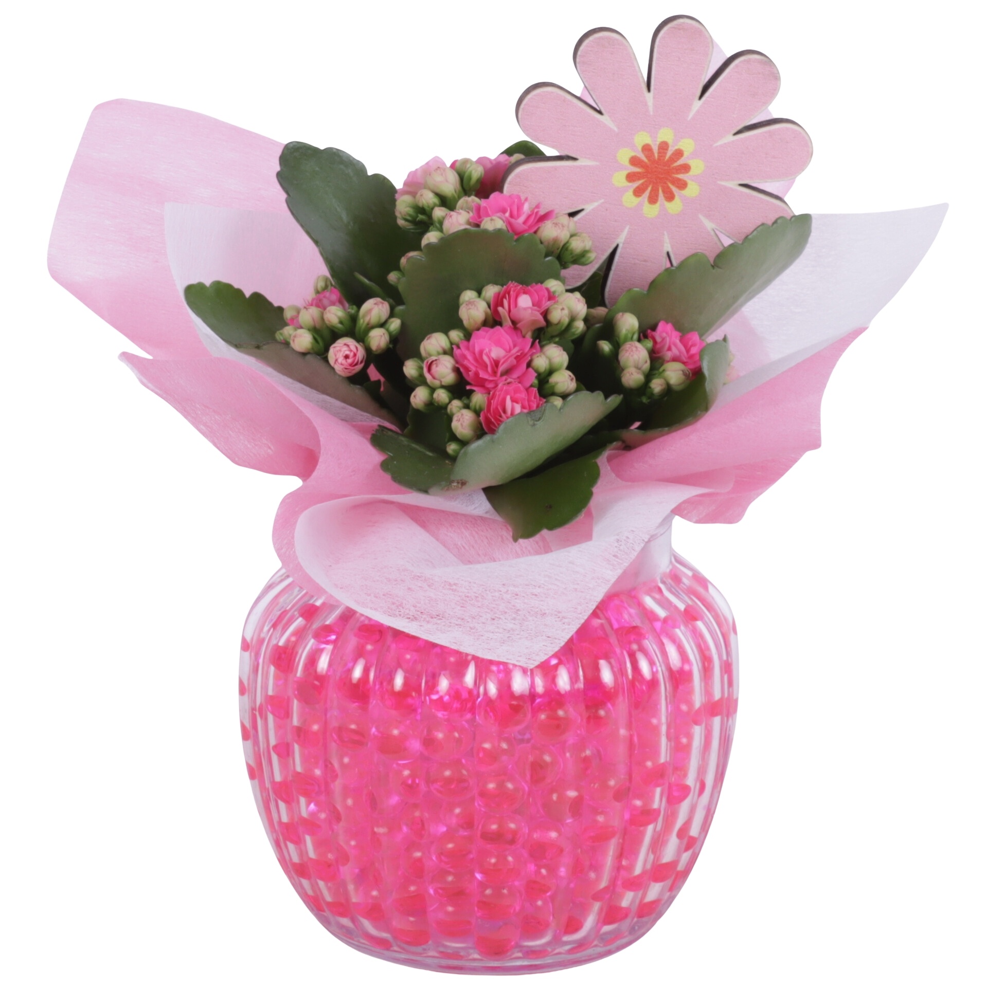 Womensday Arr. Indoor Glass Pot Relief Ø11cm 1PP, D 11