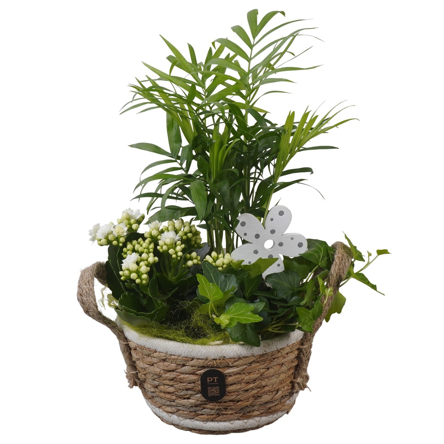 PTIB5238 Arrangement Indoor in rieten mand, D 15