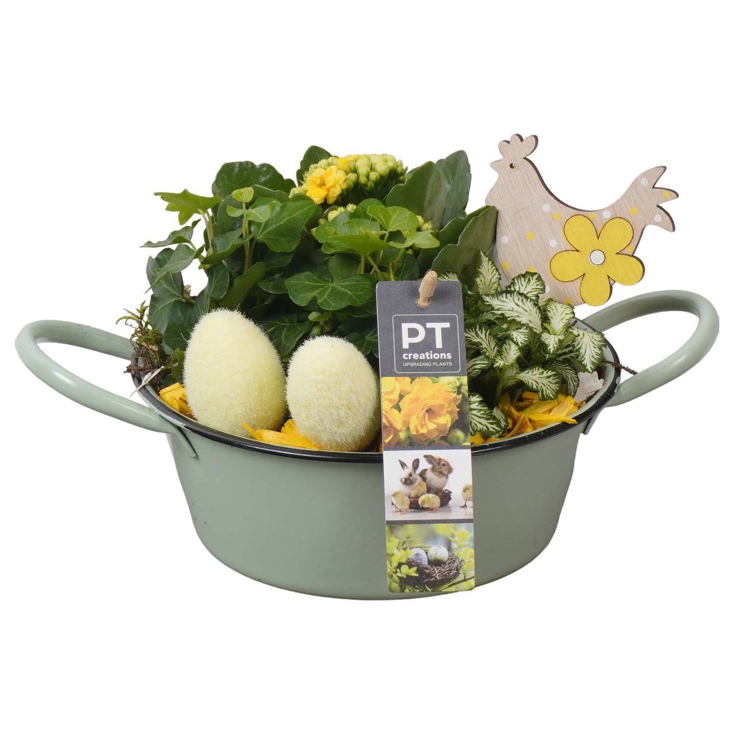 PTPB6425 Arrangement Easter in zink schaal, D 19